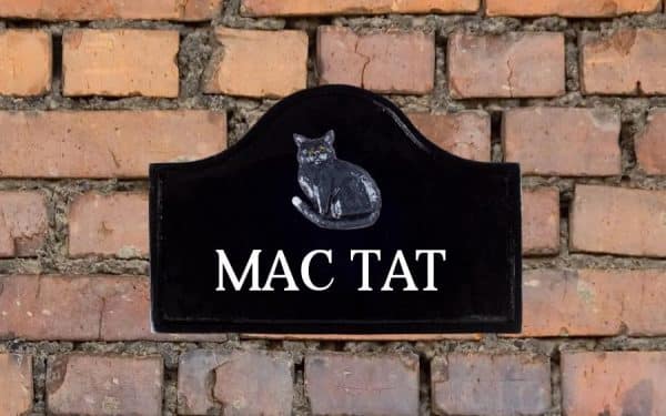 Cat Sign 12" X 8"