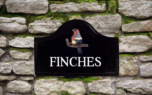 Bullfinch Sign 12" X 8"